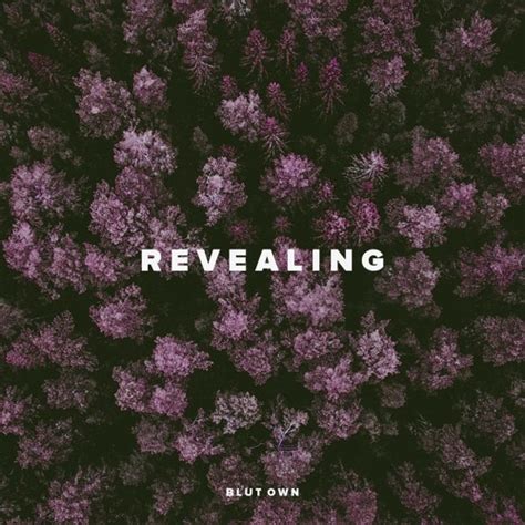 Stream Revealing By Blut Own Listen Online For Free On Soundcloud