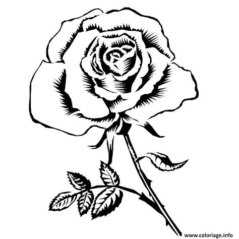 Coloriage Rose Adulte Jecolorie