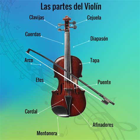 Diagrama De Violin Estudiar