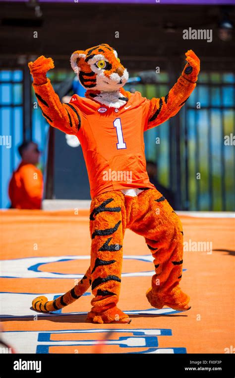 Clemson Tigers Mascot Clipart