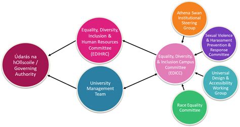 Equality Diversity Inclusion Structure University Of Galway