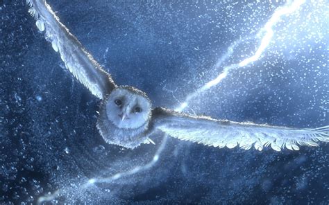 1280x1024 resolution | barn owl flying towards camera HD wallpaper | Wallpaper Flare