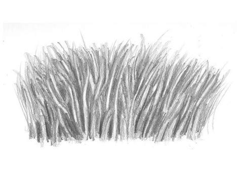 25 Easy Grass Drawing Ideas How To Draw Grass Blitsy