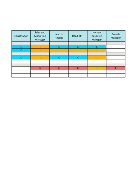 Solution Mgt T Raci Matrix Template Studypool