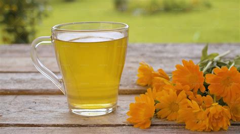 Calendula Tea And Flowers Stock Photos Motion Array