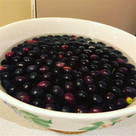 BENEFITS OF OLIVES – Clinical Nutrition/FUnctional Medicine PRactice