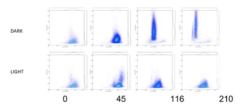 Algae Amphasys Single Cell Analysis