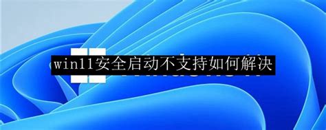 Win11安全启动不支持如何解决win11安全启动不支持解决方法介绍 53软件园