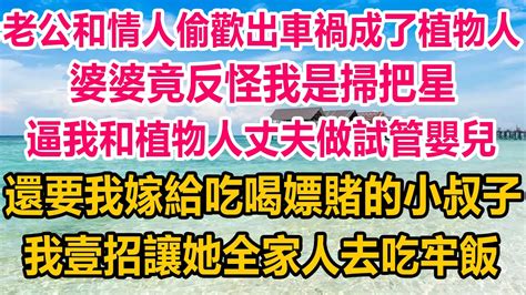 老公和情人偷歡出車禍成了植物人，婆婆竟反怪我是掃把星，逼我和植物人丈夫做試管嬰兒，還要我嫁給吃喝嫖賭的小叔子，我壹招讓她全家人去吃牢飯生活經驗 情感故事 家庭 婚姻 Youtube