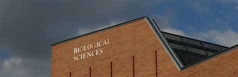 Stan Lims Biological Science Building Department Of Molecular Cell