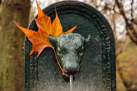 Leaf Fountain Sculpture - Free photo on Pixabay - Pixabay