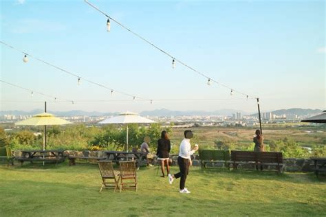 완주 삼례 비비낙안 익산 전주 근교 데이트 하기 좋은 카페 네이버 블로그