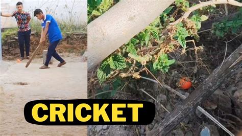 Aaj Gaon Mein Cricket Khela 😁 Lekin Ball Kaha Chali Gayi 😨 Youtube