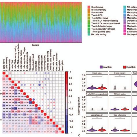 Immune Cell Infiltration In Luad Patients Of High And Low Risk Groups