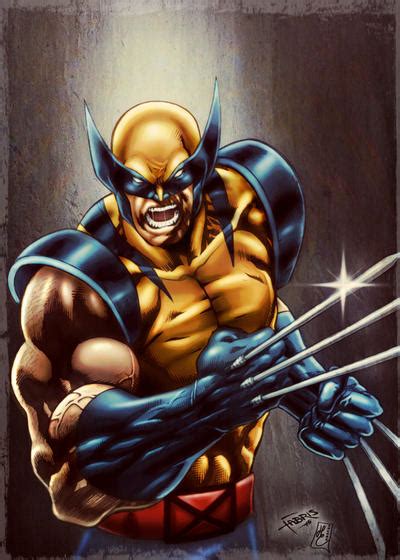 The Wolverine Colors By Fantasticmystery On Deviantart