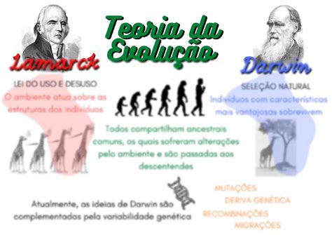 Solution Teoria Da Evolu O Mapa Mental Studypool