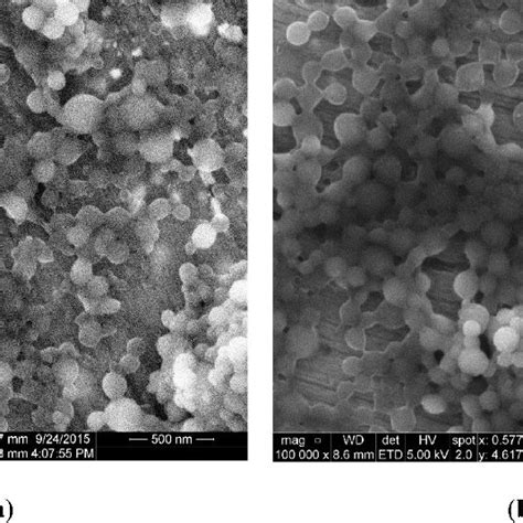 Nanoparticle Surface Characterization Using Sem Analysis A Download Scientific Diagram