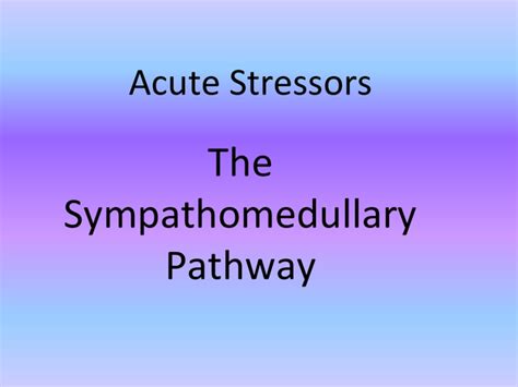 Acute Stressors The Sympathomedullary Pathway Presentation In A