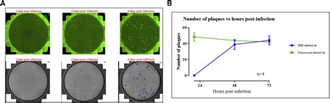 Integration Of Fluorescence Detection And Image Based Automated