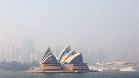 Australia Bushfires: Cause, Impact, and Restoration - One Tree Planted