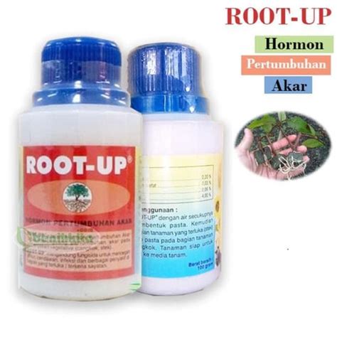 Jual Hormon Root Up Root Up Zpt Hormon Pertumbuhan Akar Gram Kota