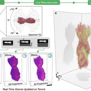 Real-Time Electron Tomography Workflow of a helical nanoparticle ...