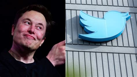 Twitter Despide A Cerca Del De Sus Empleados A Nivel Mundial