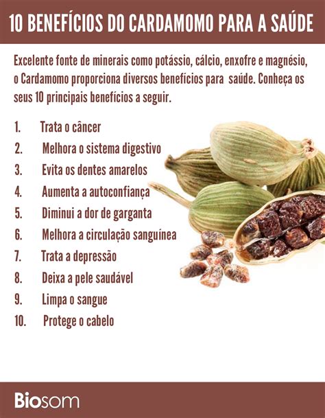 Clique na imagem para ver os detalhes dos 10 Benefícios do Cardamomo