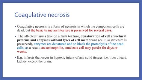 Difference Between Apoptosis Versus Necrosis And Types Of Necrosis Pptx