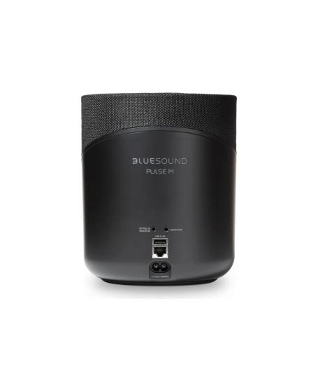 Bluesound Pulse M Wireless Bluetooth Speaker