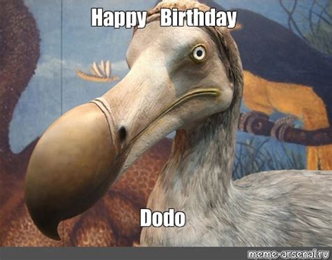 Meme Happy Birthday Dodo All Templates Meme