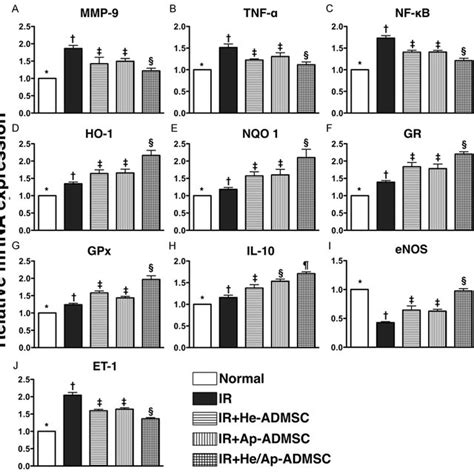 Mrna Expressions Of Inflammatory Anti Oxidant Anti Inflammatory And