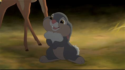 Thumper - Thumper Photo (33645932) - Fanpop