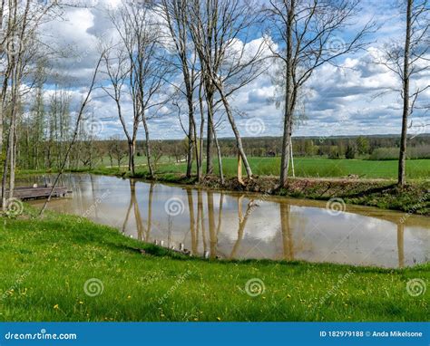 Spring Landscape With Tree Silhouettes Green Grass And A Small Pond