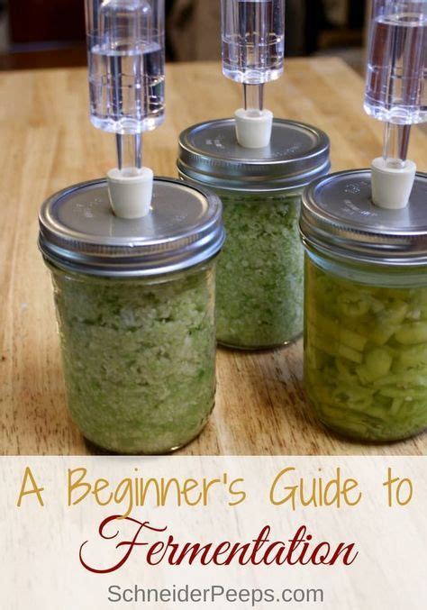 Beginner's Guide to Fermentation | Fermented foods, Fermenting, Fermentation recipes