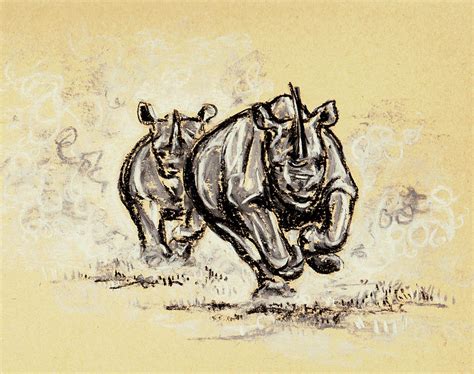 Rhino Charge Drawing Rhino Charge Fine Art Print