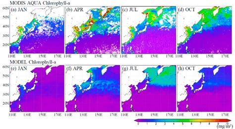 Surface Distributions Of The Monthly Mean Chlorophyll A Concentrations Download Scientific