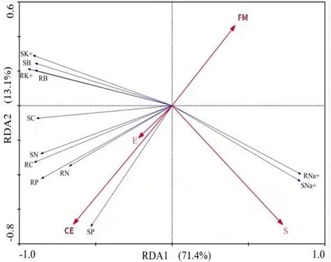 Frontiers Interactive Effects Of Epichlo Endophytes And Arbuscular