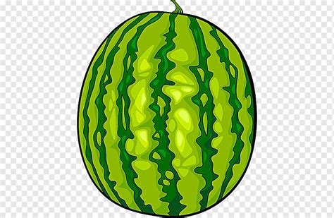 Fruit Cartoon Illustration Creative Flower Melon Pitsea Comics