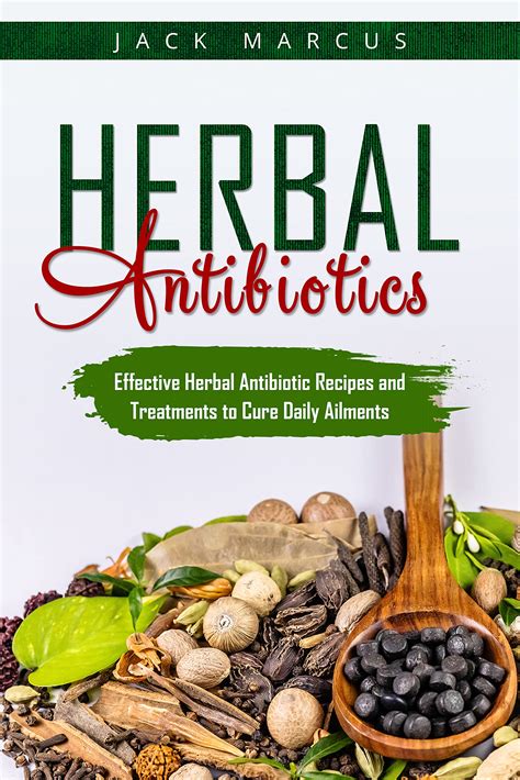 Herbal Antibiotics Effective Herbal Antibiotic Recipes And Treatments