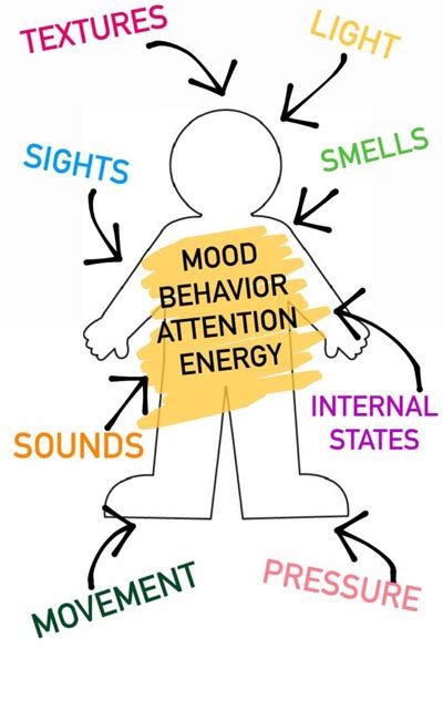 Sensory Integration for Caregivers - Colorado Springs Therapy Center