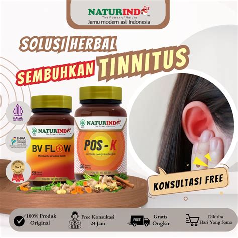 Jual Obat Tinnitus Telinga Gangguan Syaraf Telinga Berdengung