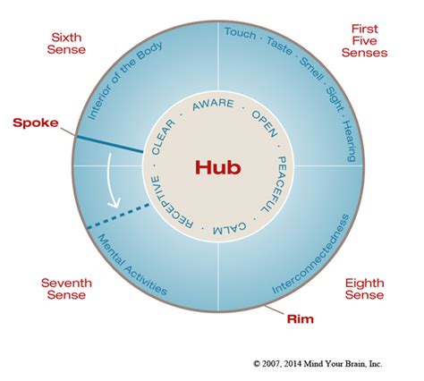 Map Of Human Consciousness