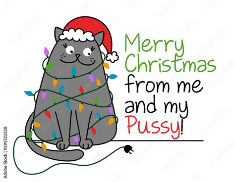Merry Christmas From Me And My Pussy Cute Gray Cat With Santa Hat Tangled In The Christmas