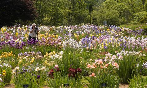 Picture perfect gardens - Hamilton Halton Brant