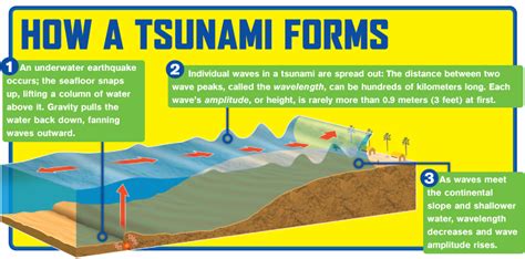 Formation The Physics Of Tsunamis How Is A Tsunami Formed