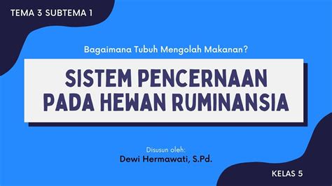 Sistem Pencernaan Pada Hewan Ruminansia Kelas 5 Tema 3 Subtema 1 Youtube