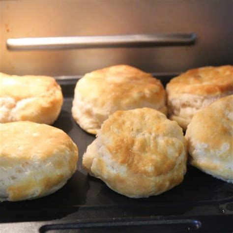 How To Make Frozen Biscuits In The Vortex Air Fryer Instant Pot Fork To Spoon