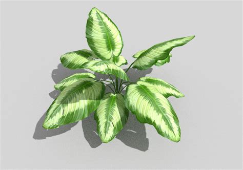 3d Model Low Poly Tropical Foliage Vr Ar Low Poly Cgtrader