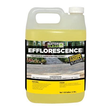 Gator Efflorescence Cleaner 1 Gallon Select Stone